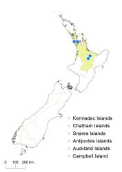 Nymphaea mexicana distribution map based on databased records at AK, CHR & WELT.
 Image: K.Boardman © Landcare Research 2018 CC BY 4.0